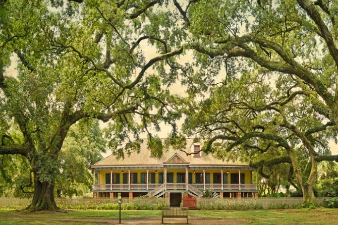 Small-Group Laura and Whitney Plantation Tour from New Orleans - Key points at a glance