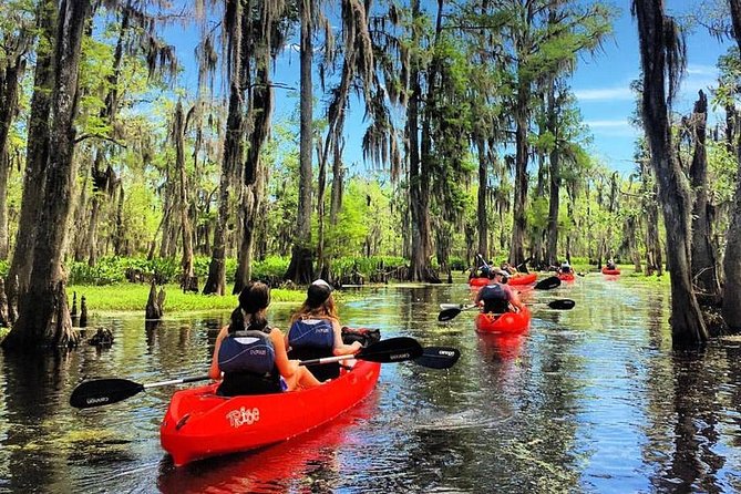 Small-Group Manchac Swamp Kayak Tour - Key things to know before you paddle