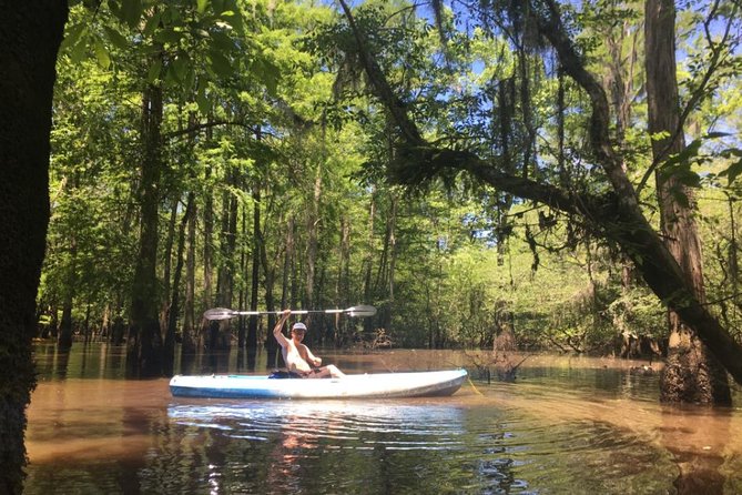 Small-Group Manchac Swamp Kayak Tour - Leaving New Orleans for Manchac Swamp