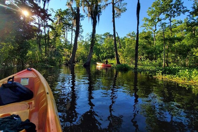 Small-Group Manchac Swamp Kayak Tour - The guides shape the experience