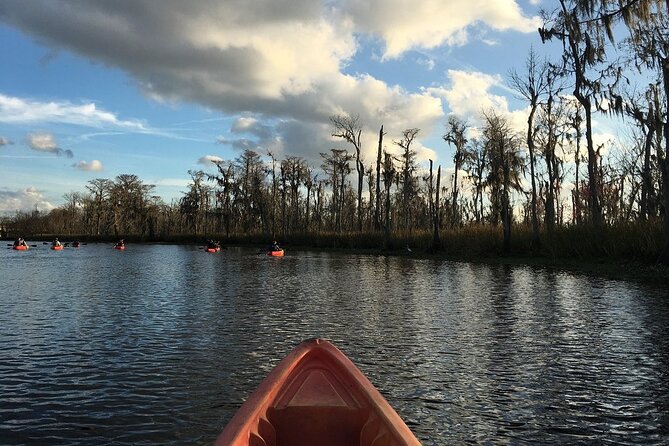 Small-Group Manchac Swamp Kayak Tour - Weather, insects, and what to wear