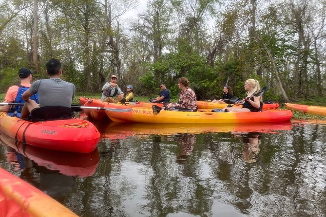 Small-Group Manchac Swamp Kayak Tour - Who should book this Manchac outing