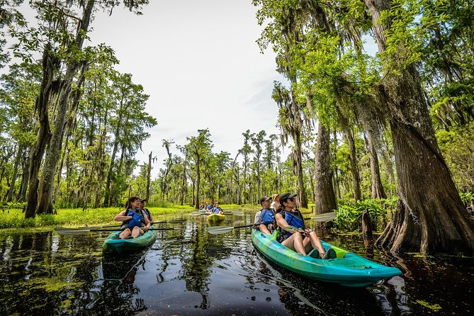 Small-Group Manchac Swamp Kayak Tour with Local Guide - Key points to know before you book