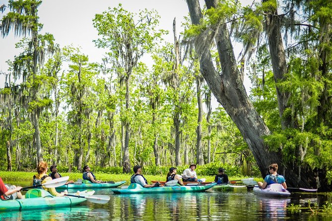 Small-Group Manchac Swamp Kayak Tour with Local Guide - Ruddock, explorers, and the stories beneath the trees