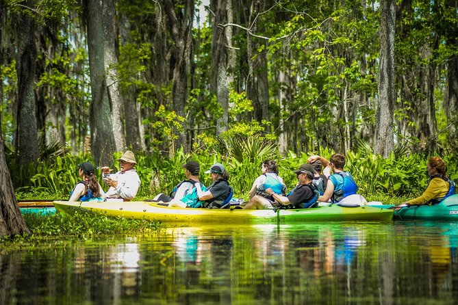 Small-Group Manchac Swamp Kayak Tour with Local Guide - How hard is the kayaking?