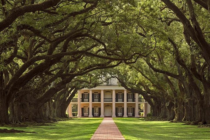 Swamp Boat Ride and Oak Alley Plantation Tour from New Orleans - How much wildlife will you see?