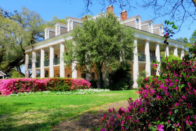 Swamp Boat Ride and Oak Alley Plantation Tour from New Orleans - Oak Alley’s 28 oak trees and plantation story