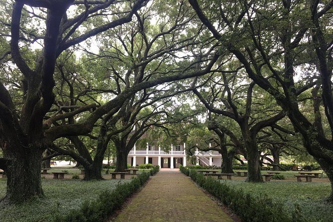 Whitney Plantation and Airboat Tour from New Orleans - The airboat ride through the swamp