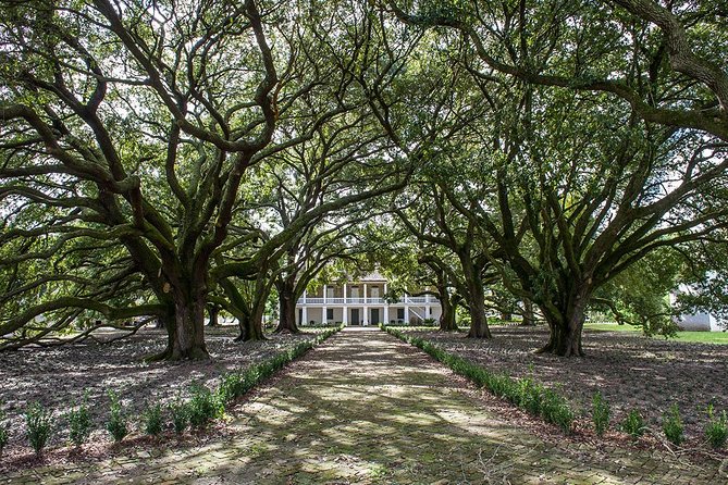Whitney Plantation Tour with Transportation from New Orleans - Price, Timing, and Overall Value